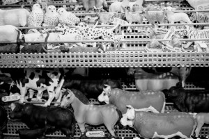 Torino-Centro Gioco Educativo-San Paolo- Corso Ferrucci 105