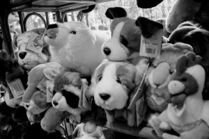 Torino-Centro Gioco Educativo-San Paolo- Corso Ferrucci 105